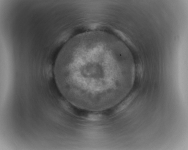 X0000113310470200909281128