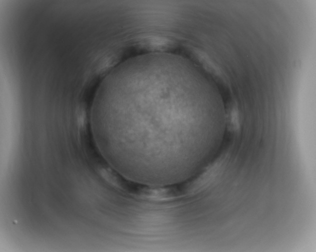 X0000113310472200909281128