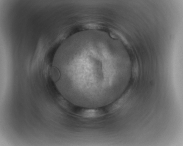 X0000113310473200909281128