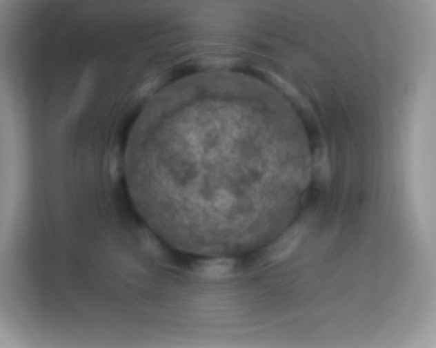 X0000113310474200909281128