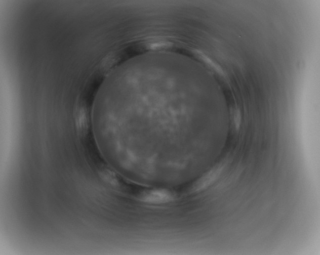 X0000113310475200909281128