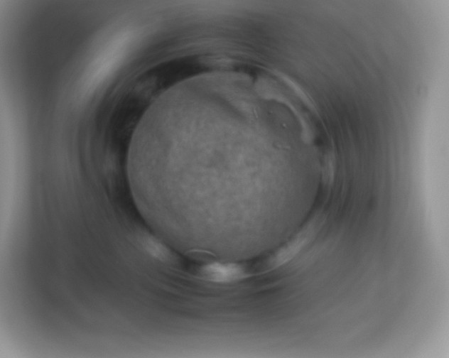 X0000113310477200909281128