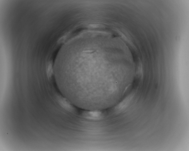 X0000113310478200909281128