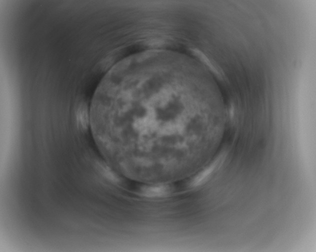 X0000113310479200909281128