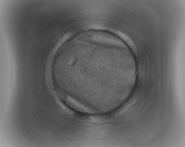 X0000113310481200909281127