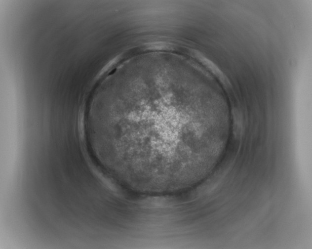 X0000113310482200909281127