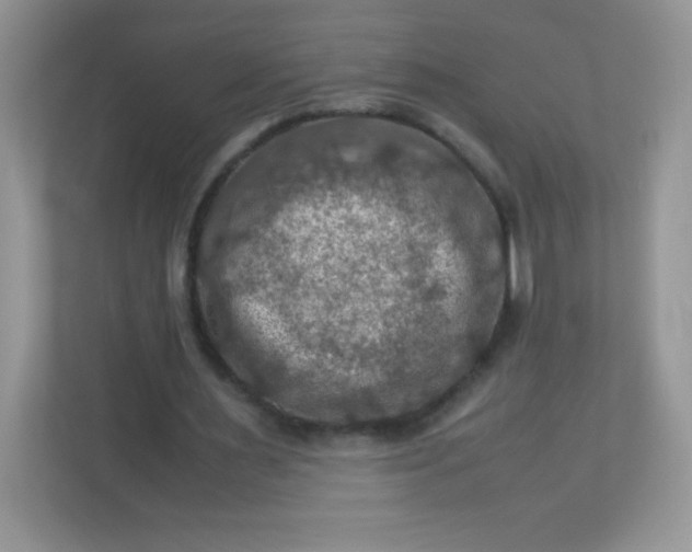 X0000113310483200909281127