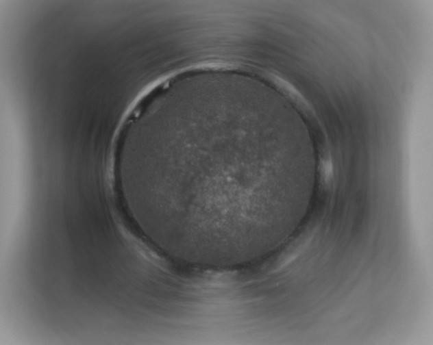 X0000113310484200909281127