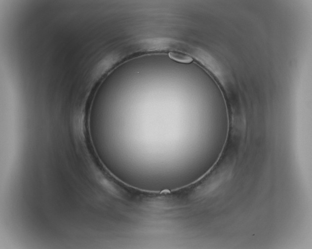 X0000113310485200909281127