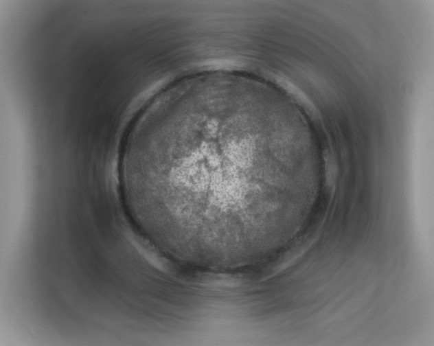 X0000113310486200909281127