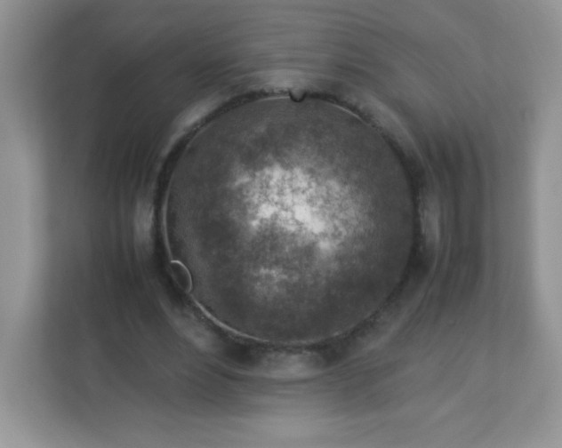 X0000113310488200909281127