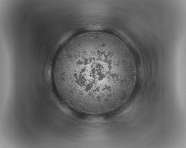 X0000113310491200909281127