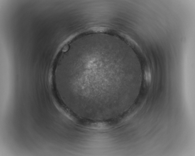 X0000113310492200909281127