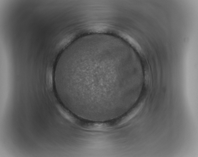 X0000113310493200909281127