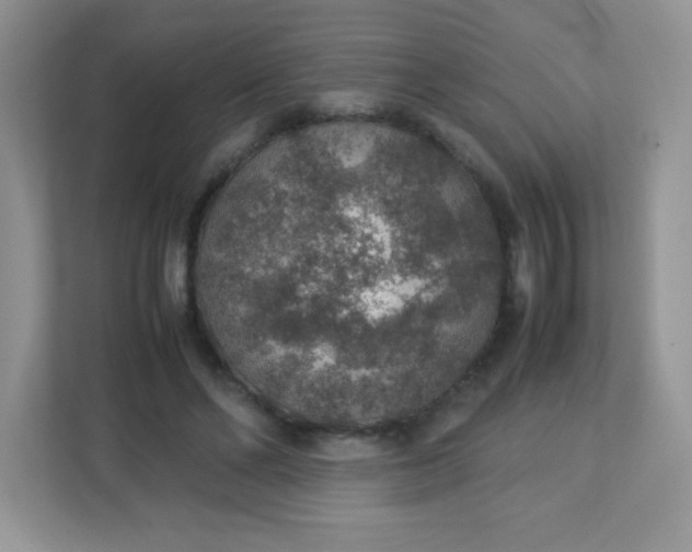 X0000113310494200909281127