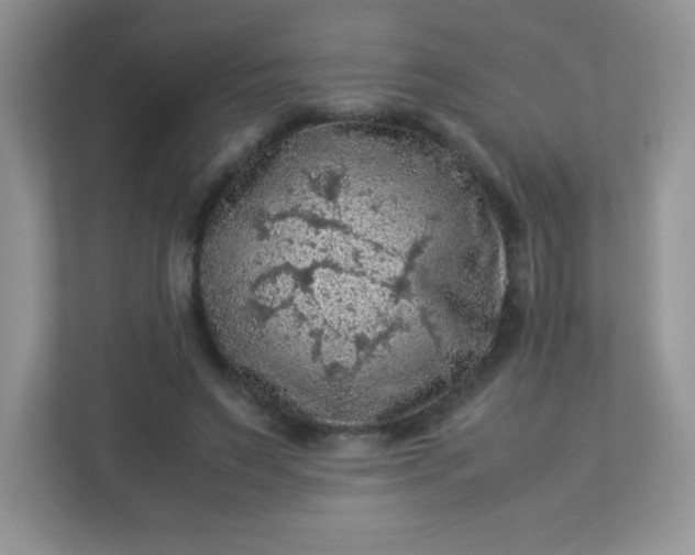 X0000113310495200909281127