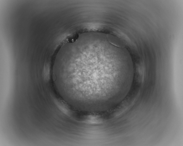 X0000113310496200909281127