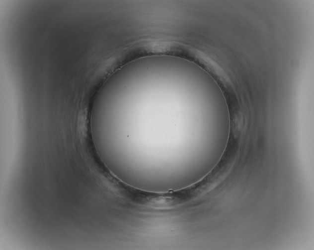 X0000113310497200909281127