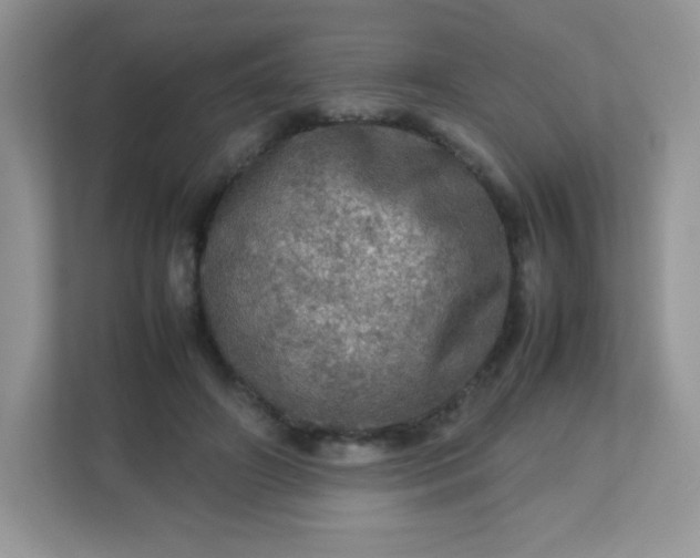 X0000113310498200909281127