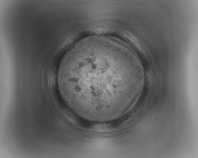 X0000113310499200909281127