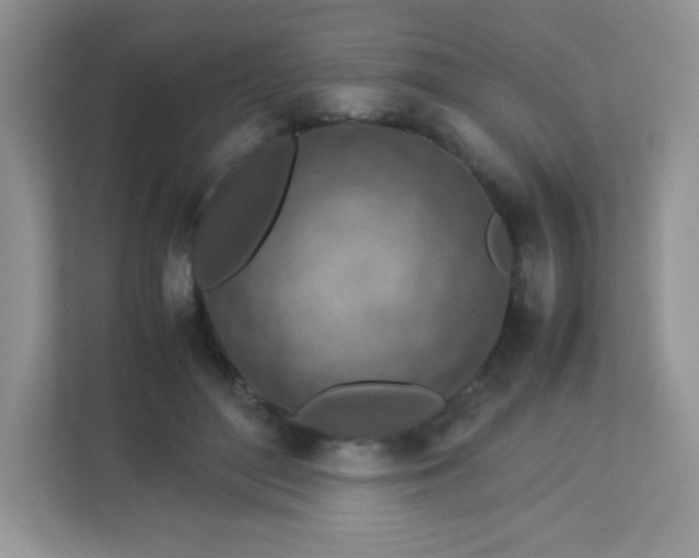 X0000113310500200909281127