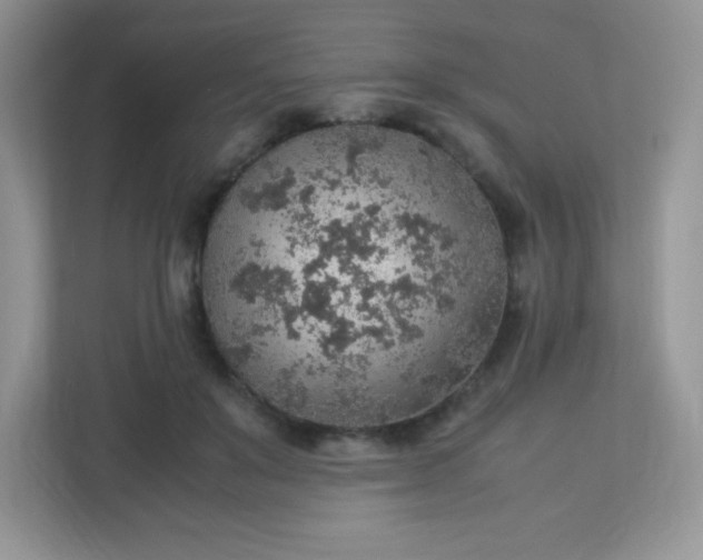 X0000113310503200909281127