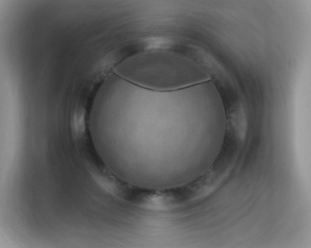 X0000113310504200909281127