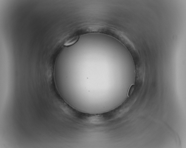 X0000113310505200909281127