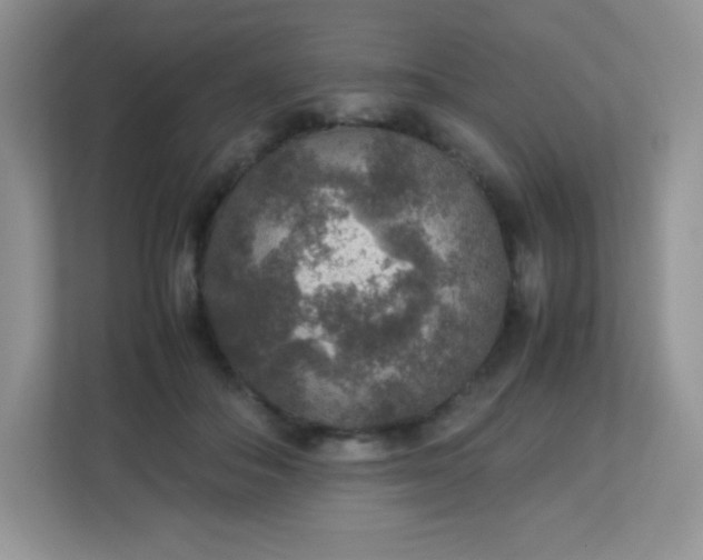 X0000113310506200909281127