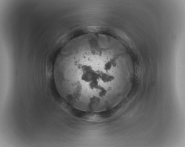 X0000113310507200909281127