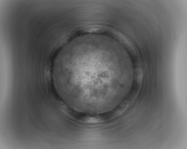 X0000113310510200909281127