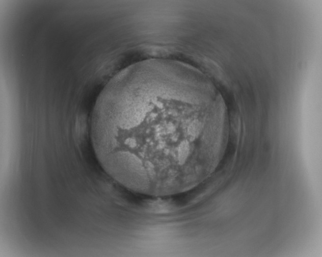 X0000113310511200909281127