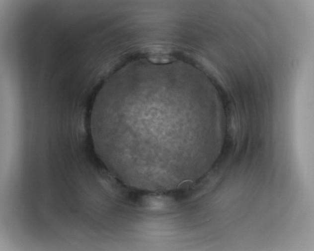 X0000113310512200909281127