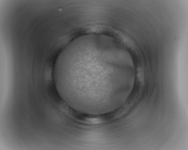 X0000113310514200909281127