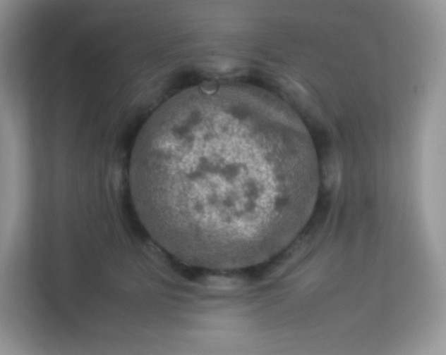 X0000113310515200909281127