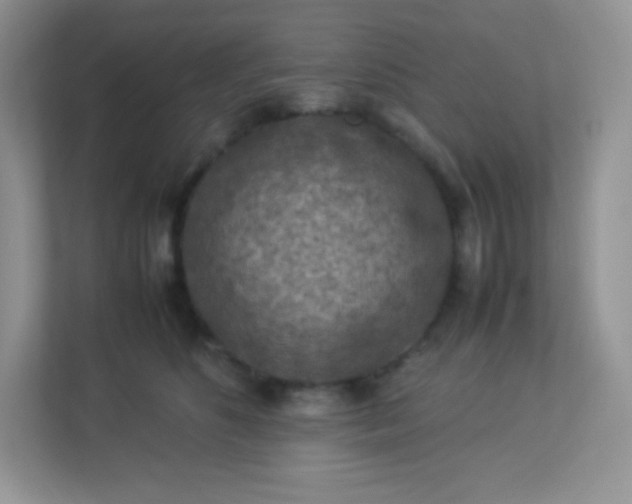 X0000113310516200909281127