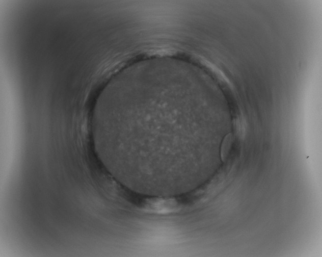 X0000113310517200909281127