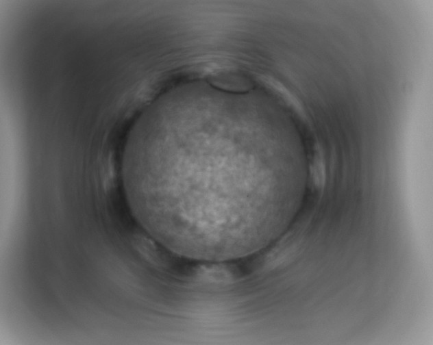 X0000113310520200909281127