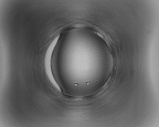 X0000113310521200909281127