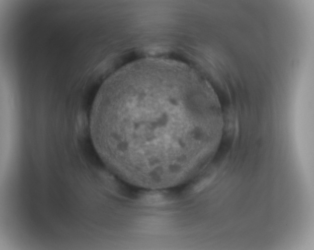 X0000113310523200909281127