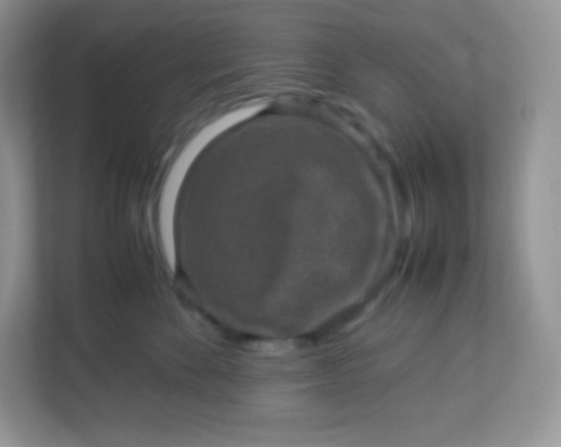 X0000113310524200909281127