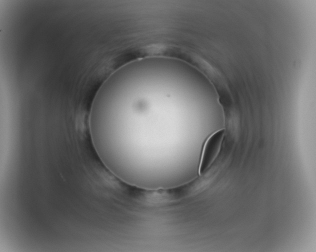 X0000113310525200909281127