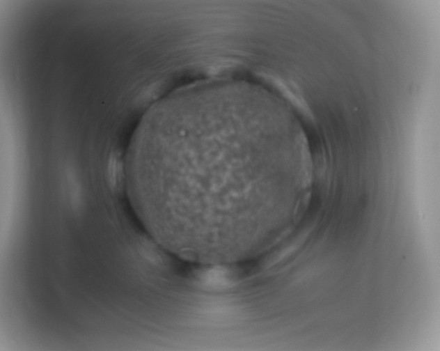 X0000113310527200909281127