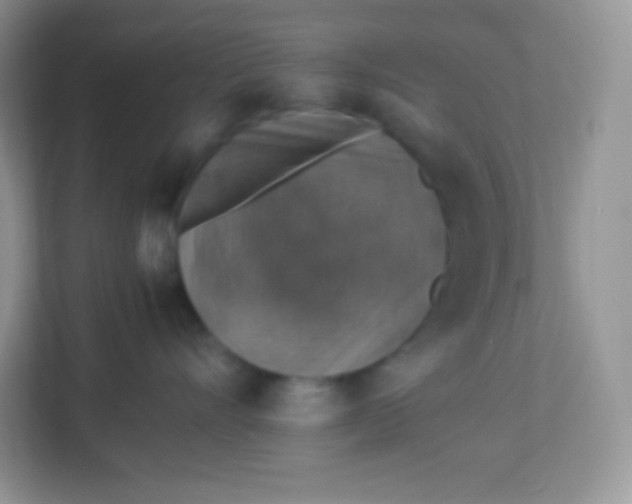 X0000113310528200909281127