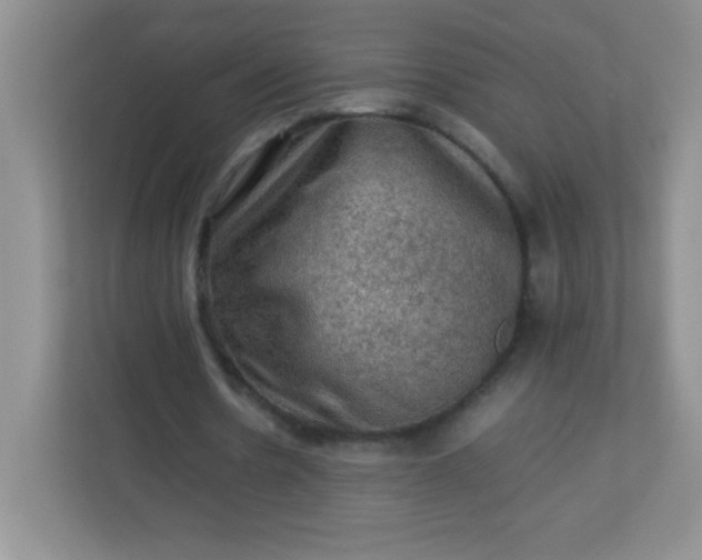 X0000113310530200909281126