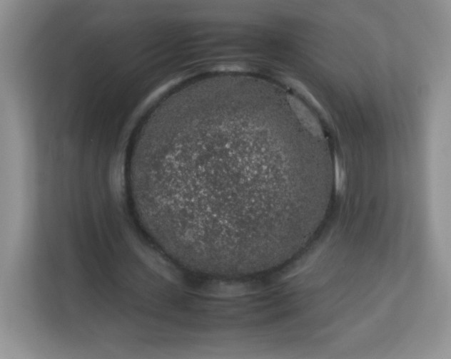 X0000113310531200909281126