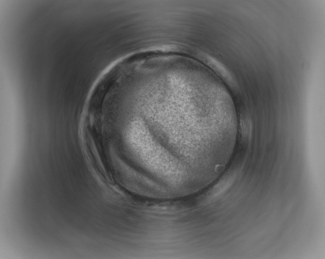 X0000113310532200909281126