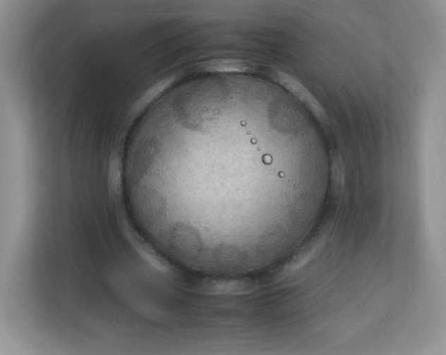 X0000113310533200909281126