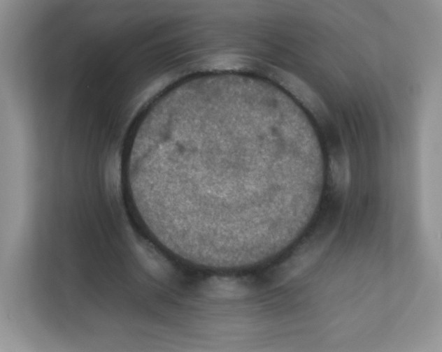 X0000113310534200909281126