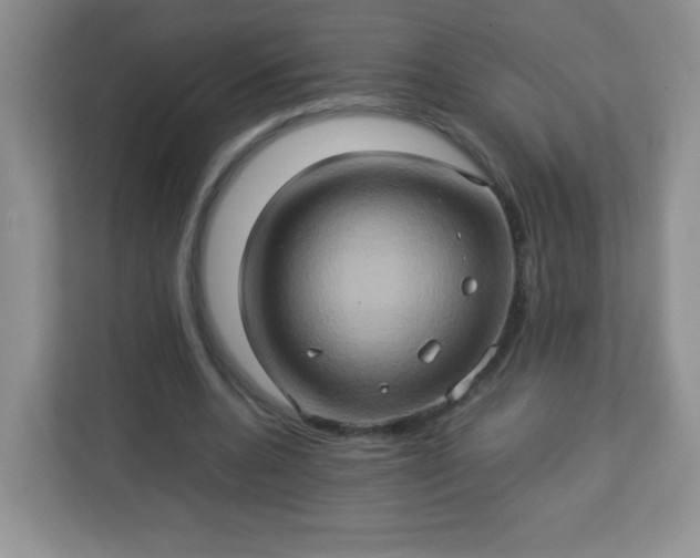 X0000113310536200909281126